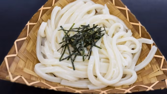 Gunma Private Tour - 