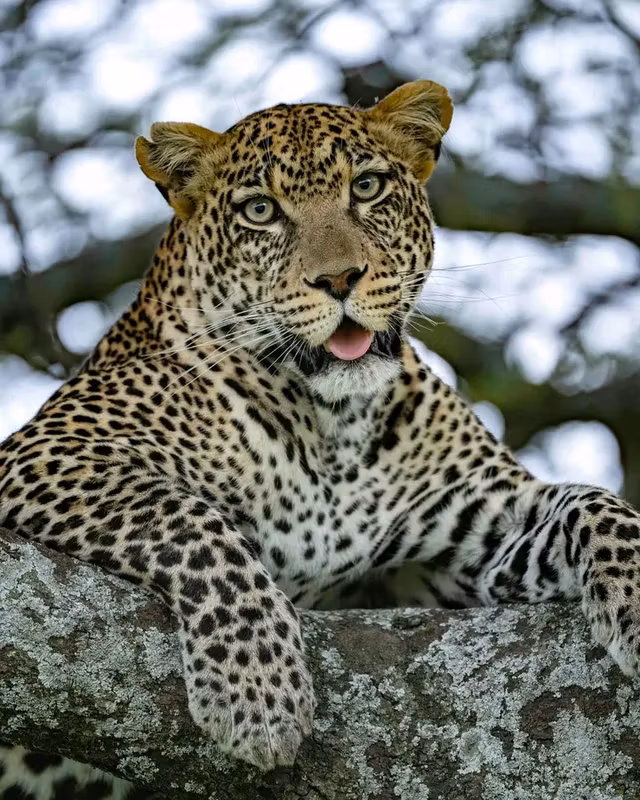 Arusha Private Tour - 