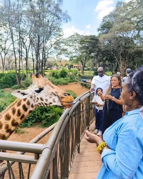 Nairobi Private Tour - 