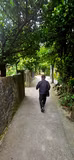 Best of Okinawa - 1