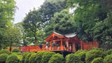 Tokyo Highlights Private Tour : For Any Group Size with a Friendly Local Guide! - 2