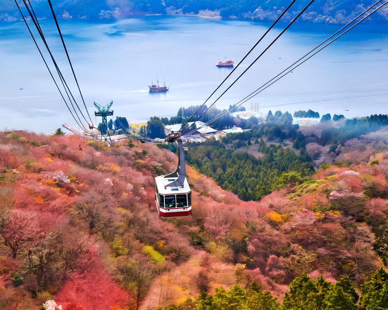 Tokyo Private Tour - 