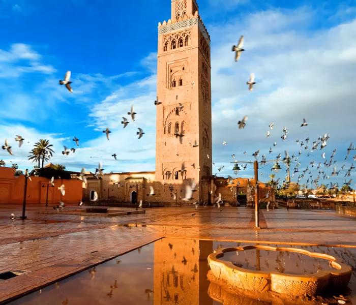 Marrakech Private Tour - 