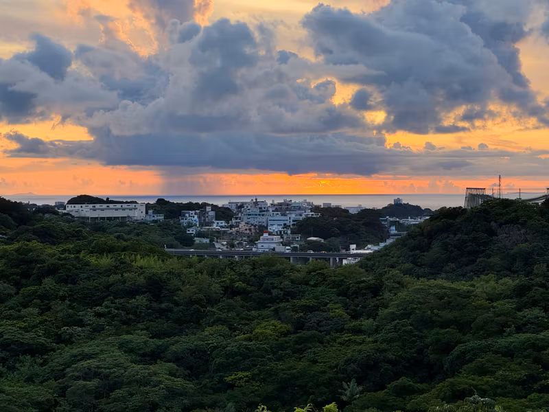 Okinawa Main Island Private Tour - 