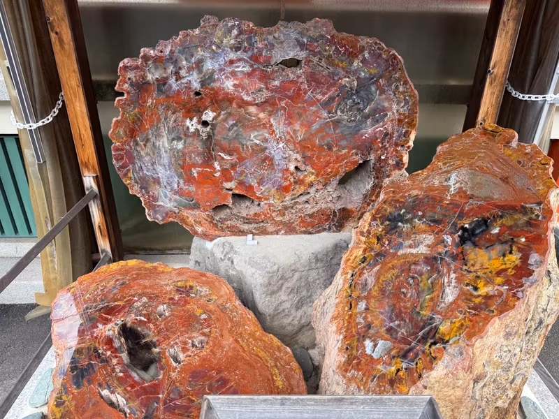 Hyogo Private Tour - a piece of wood from over 1,000 years ago