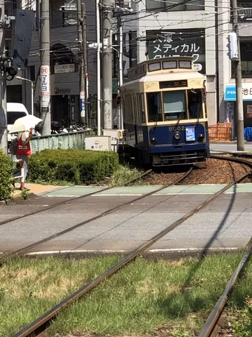 Tokyo’s Sakura tram with cherry blossomscover image