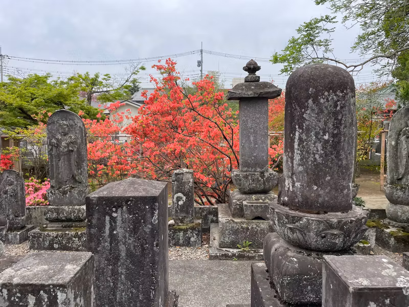 Tokyo Private Tour - Gravestone of the great priests in Naka-in temple