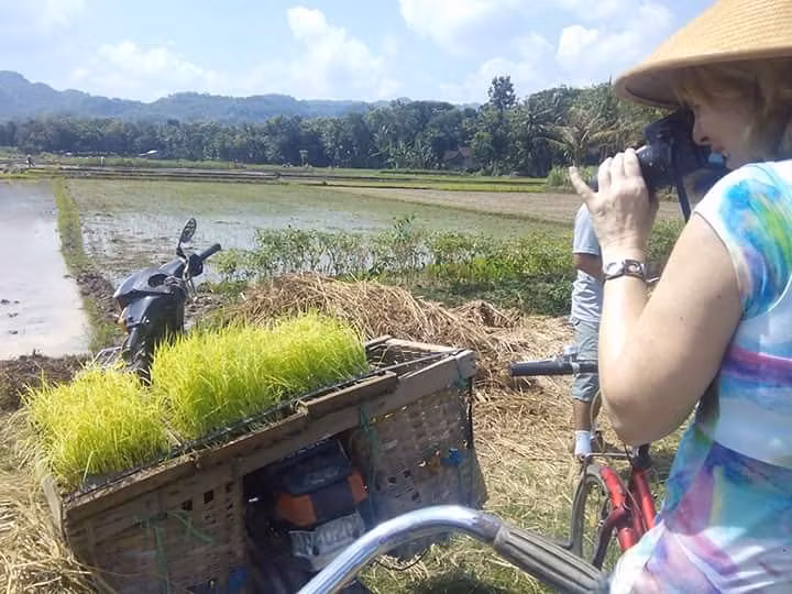 Yogyakarta Private Tour - 