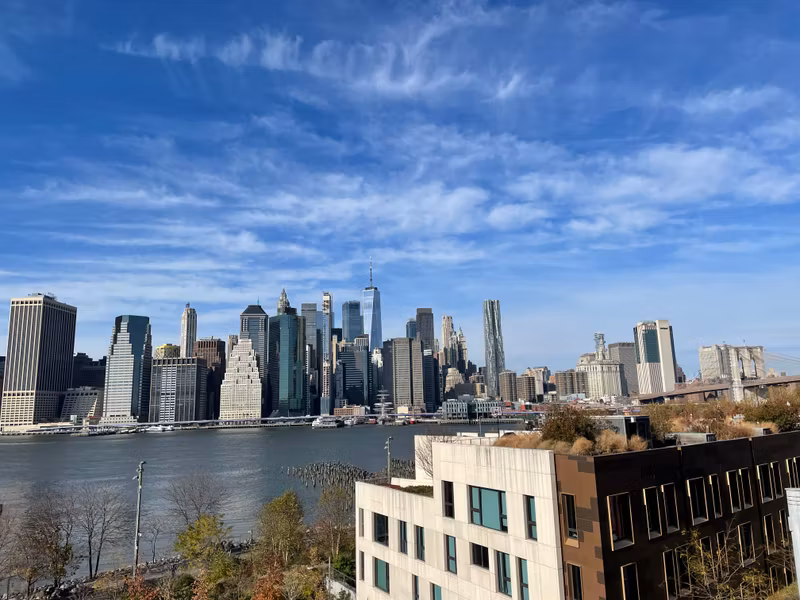 New York Private Tour - View from the Brooklyn Promenade