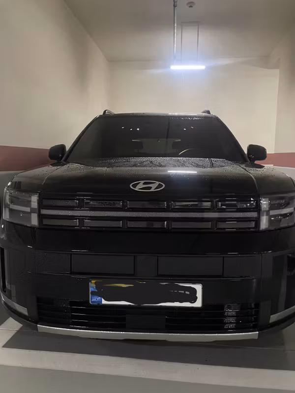 Seoul Private Tour - My car Hyundai Santafe