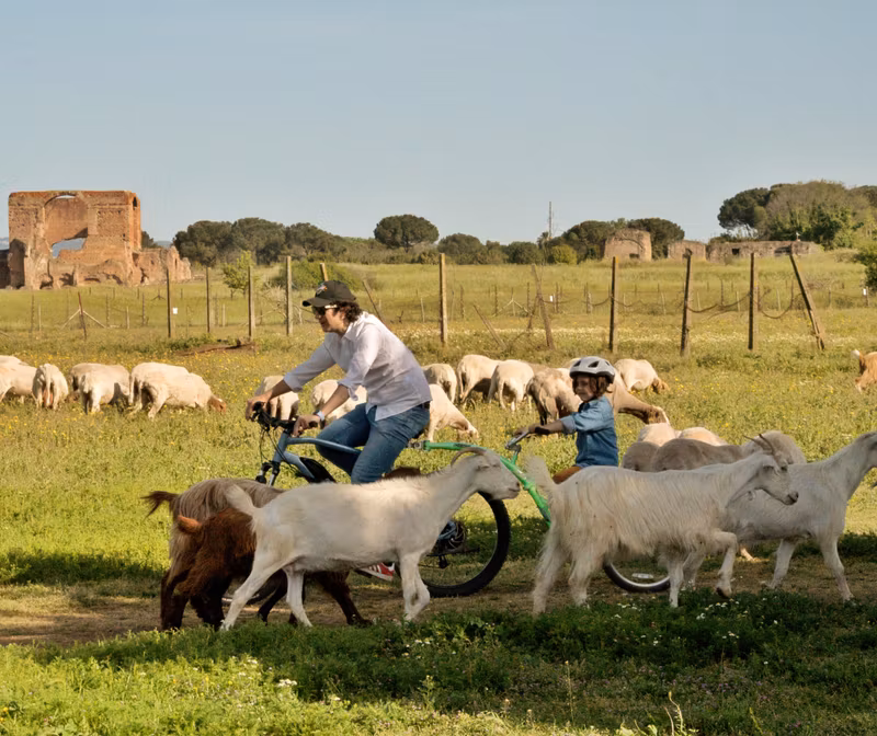 Rome Private Tour - 