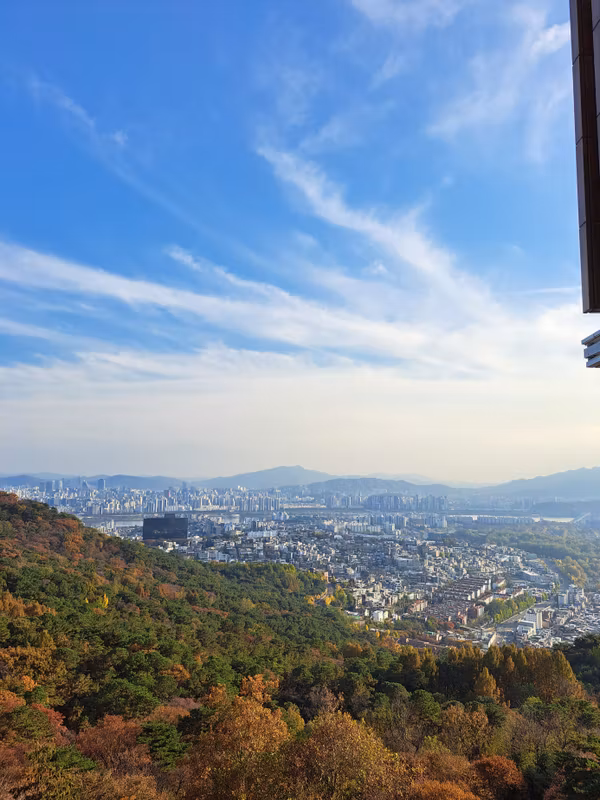 Seoul Private Tour - Namsan Mountain