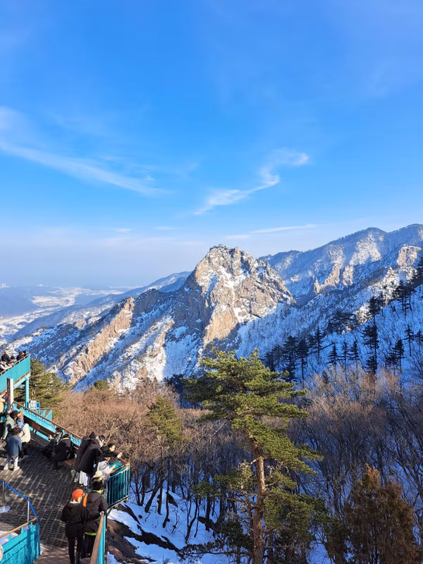 Seoul Private Tour - Korean mountains in winter