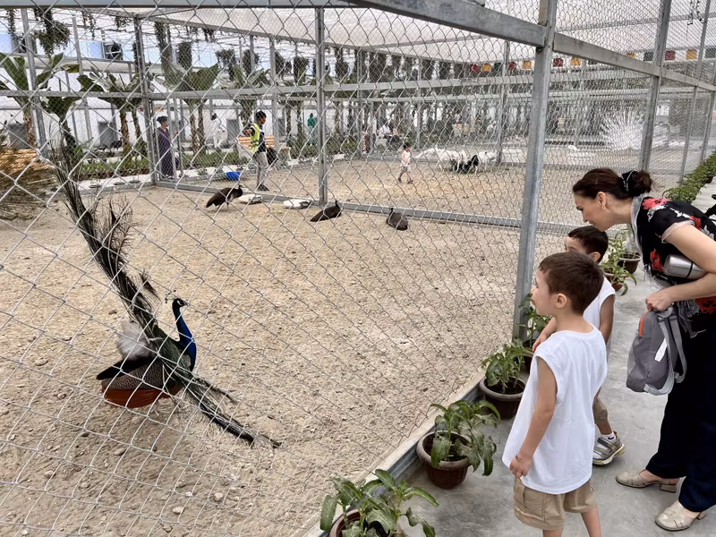 Bukhara Private Tour - Zoo in Varnet Botanical Garden