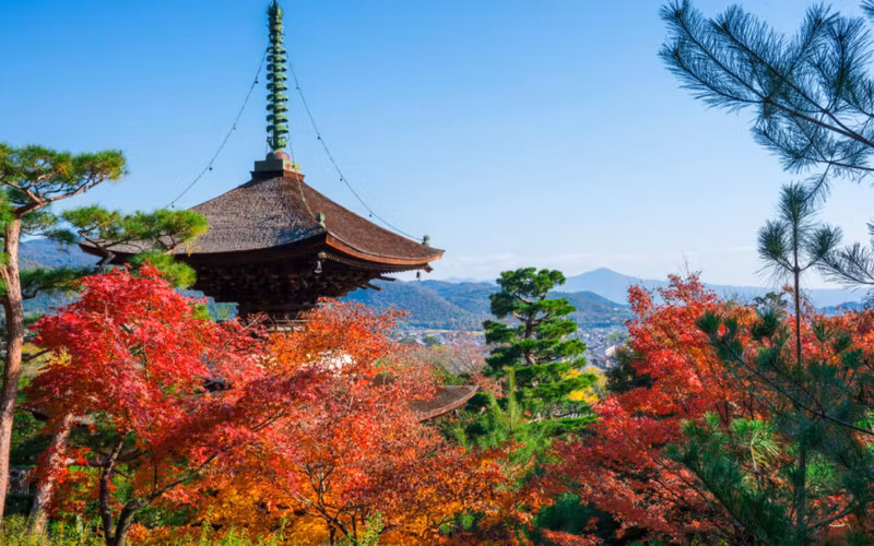 Kyoto Private Tour - Jojakkoji