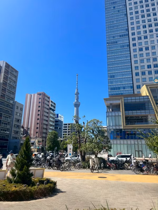 Saitama Private Tour - Tokyo Sky Tree