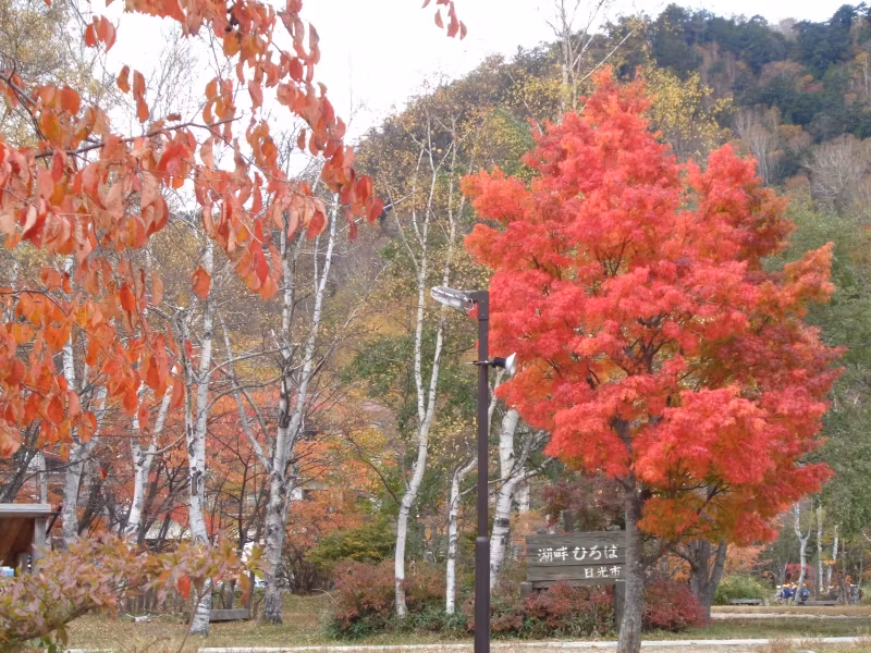 Tokyo Private Tour - Laubfarbung am Yunoko-See