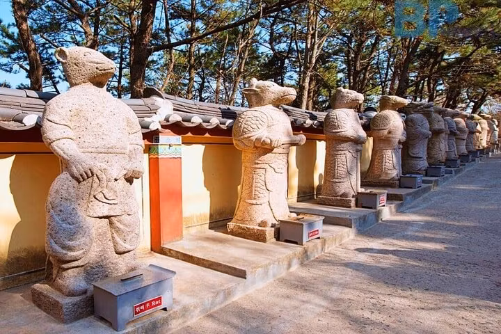 Busan Private Tour - 