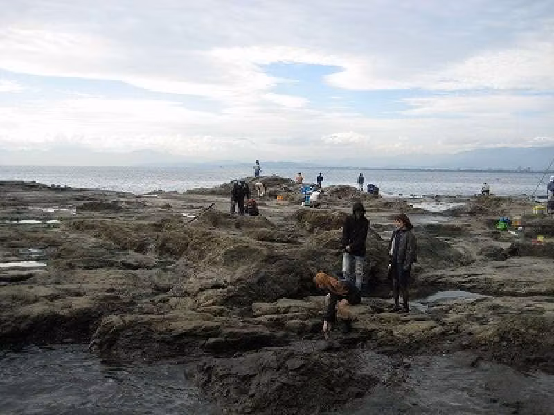 Kanagawa Private Tour - Enoshima Island beach terrace