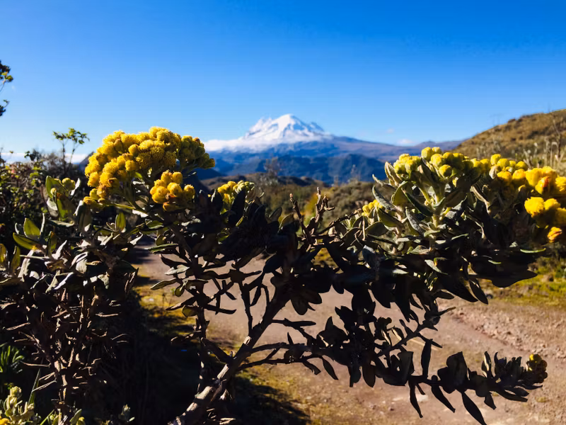 Quito Private Tour - Antisana Volcano view