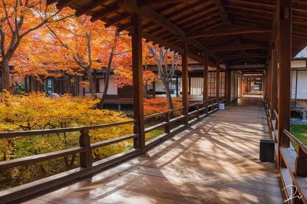 Kyoto Private Tour - 