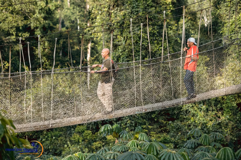 Greater Accra Private Tour - Kakum Park Canopy Walk
