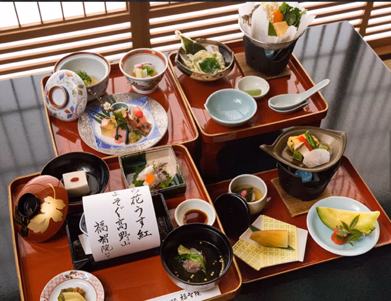 Mount Koya Private Tour - 