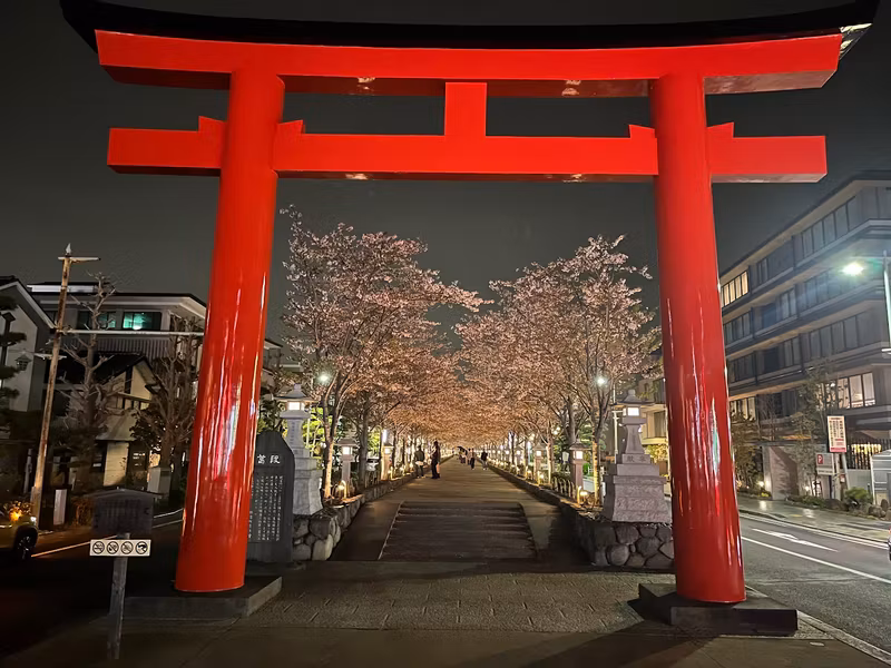 Tokyo Private Tour - Dankazura at Night