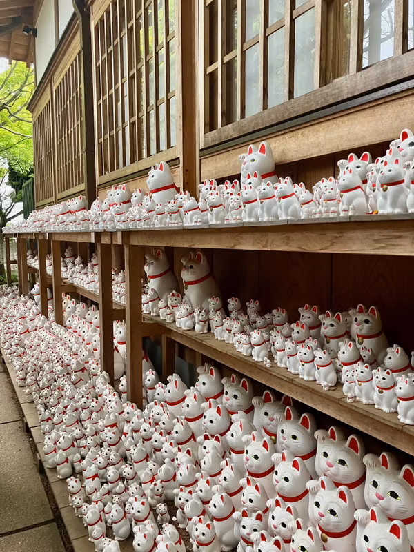 Tokyo Private Tour - Line-up of 'Maneki-Neko'