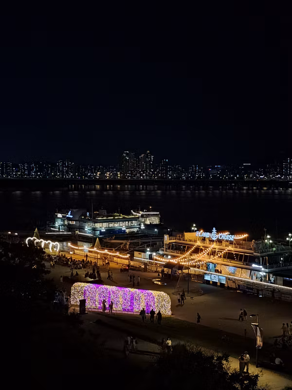 Seoul Private Tour - Night Lights by the Han River