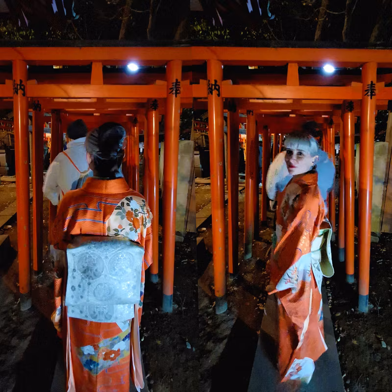 Tokyo Private Tour - Un Nouvel An au Japon_3