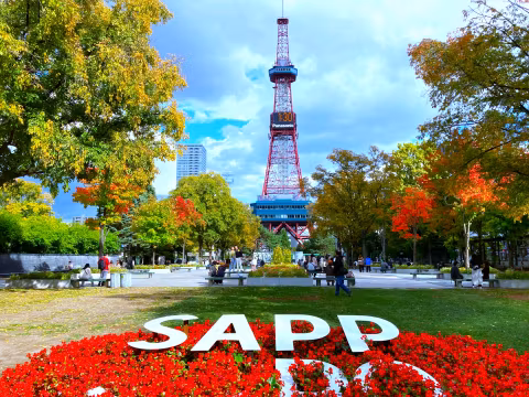 Sapporo’s Autumn Walk (4 Hours Tour)cover image