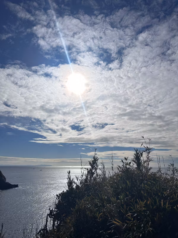 Kanagawa Private Tour - 