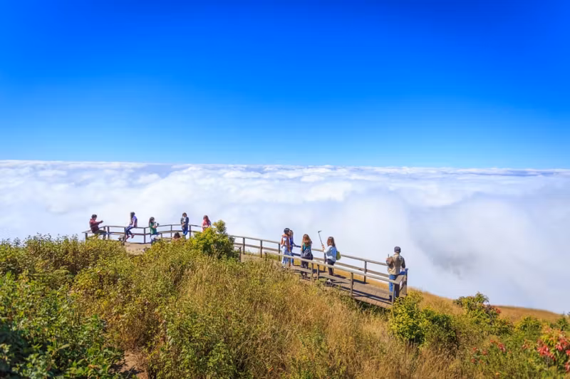 Bangkok Private Tour - Doi Inthanon, Chiang Mai