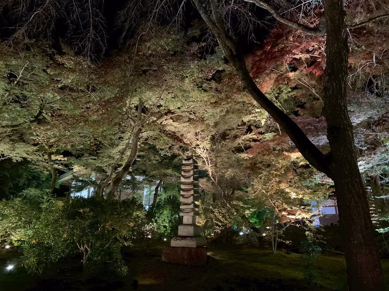Tokyo Private Tour - 
