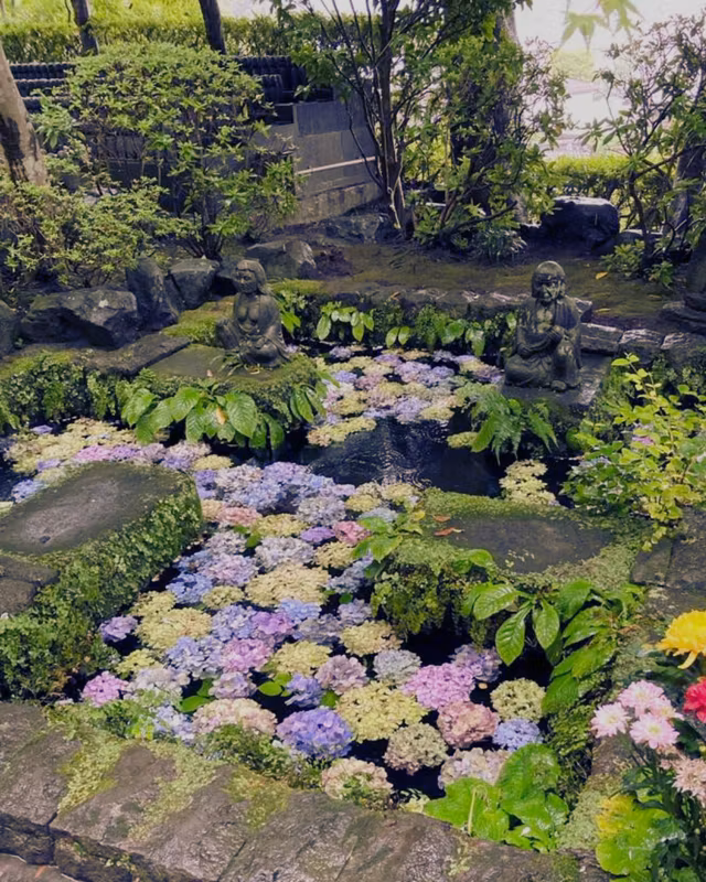 Kamakura Private Tour - Hasedera is one of Kamakura’s most charming spots.