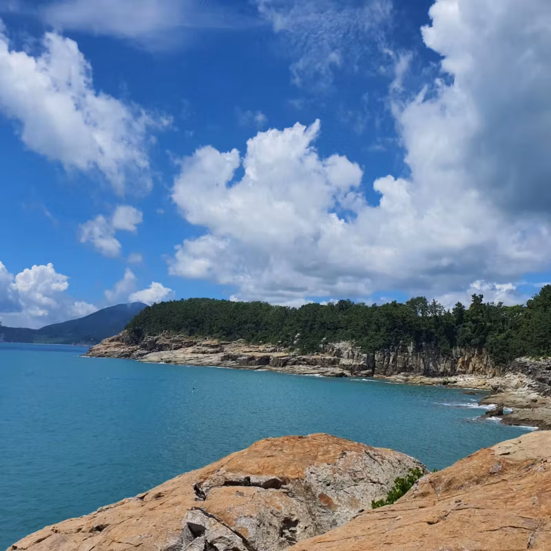 South Jeolla Private Tour - Nando island