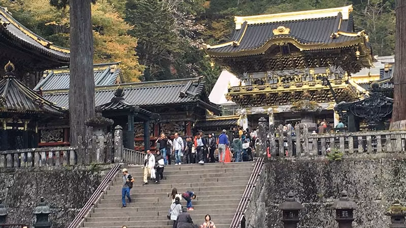 Tokyo Private Tour - Nikko Toshogu