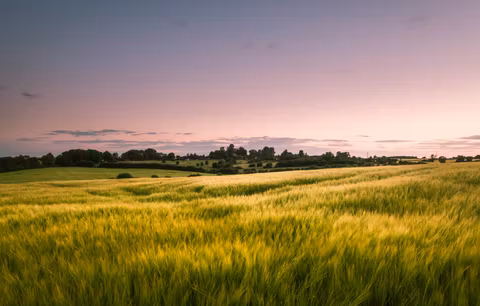 Cambridgeshire Tour Guide