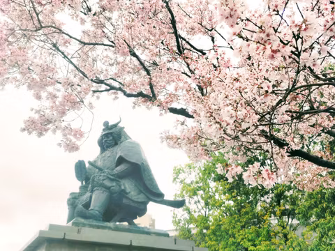 Mountainous beauty and blessing, Yamanashi local tourcover image