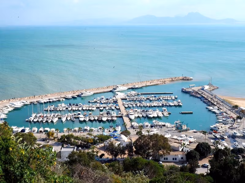 Tunis Private Tour - 