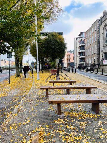 Car Transfer: Dublin to or from Galway private Daytrip by Car (up to 8pax)cover image