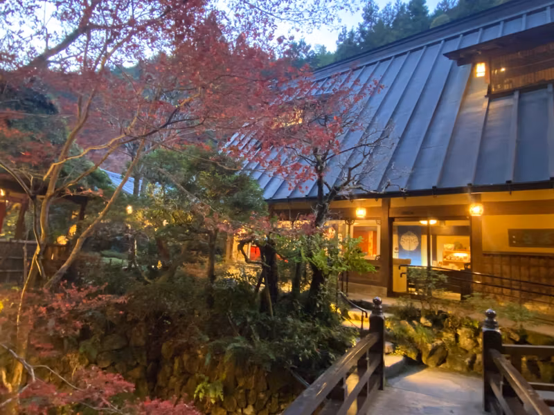 Tokyo Private Tour - Enjoy a private dinner in tranquility