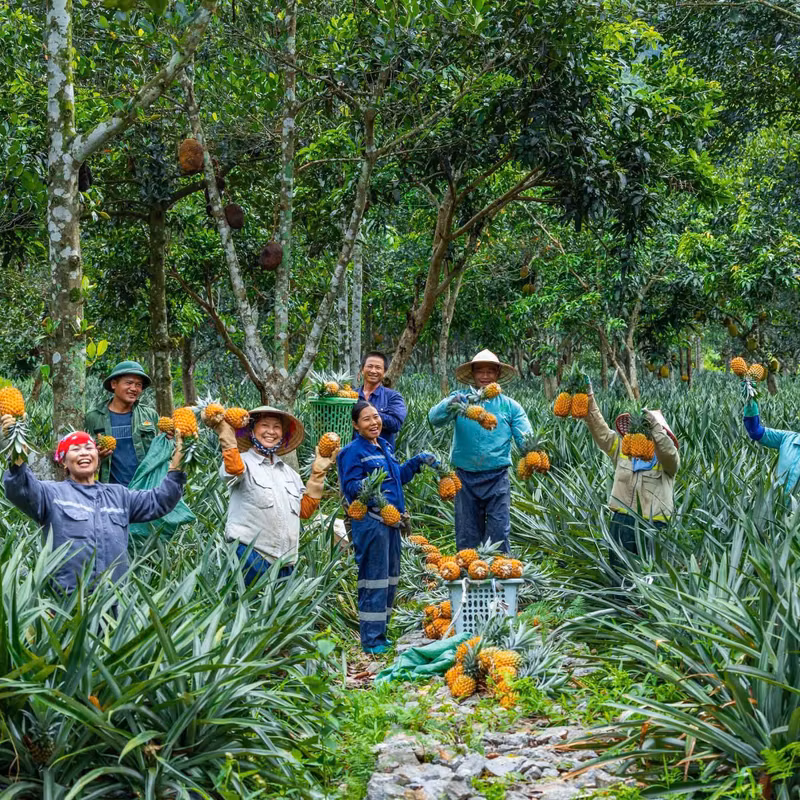 Hanoi Private Tour - 