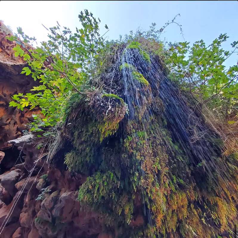 Agadir Private Tour - 