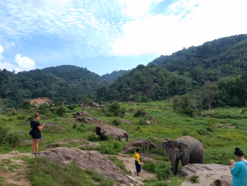 Phuket Private Tour - Visit elephants
