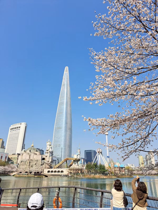 Seoul Private Tour - Spring at Lotte World Tower