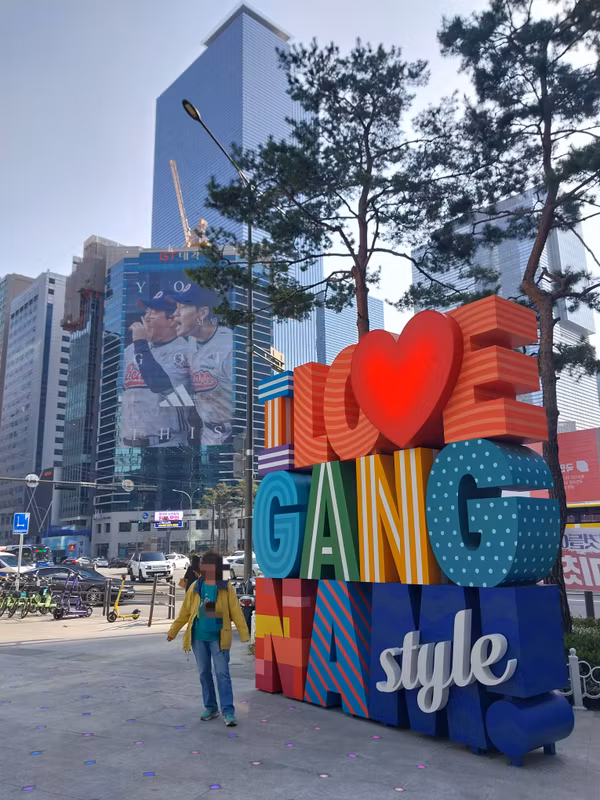 Seoul Private Tour - Gangnam