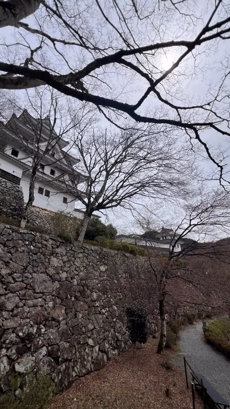 Nagoya Private Tour - 