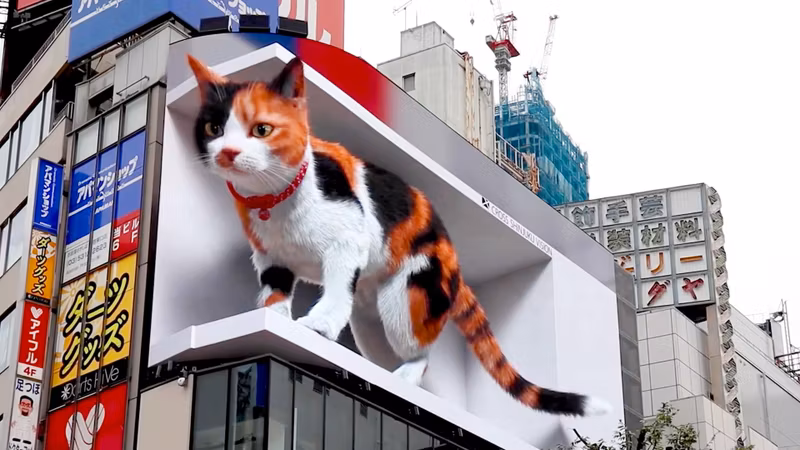Tokyo Private Tour - 3D cat display Shinjyuku